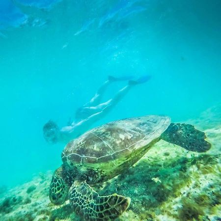 Tailua Beach Fales Manase Exterior foto